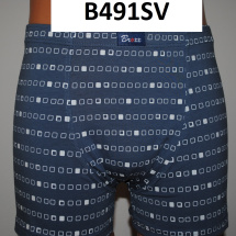 B491SV
