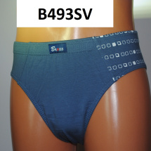 B493SV