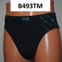 B493TM