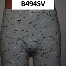 B494SV