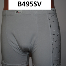 B495SV