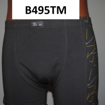 B495TM