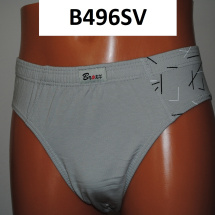 B496SV